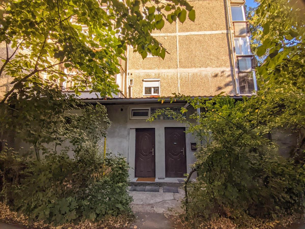 Moss'S Economy Studio Timişoara Exterior foto